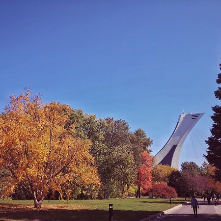 Homa Homestay Hotel By Olympic Stadium Montreal Auberge-Hostel Buitenkant foto