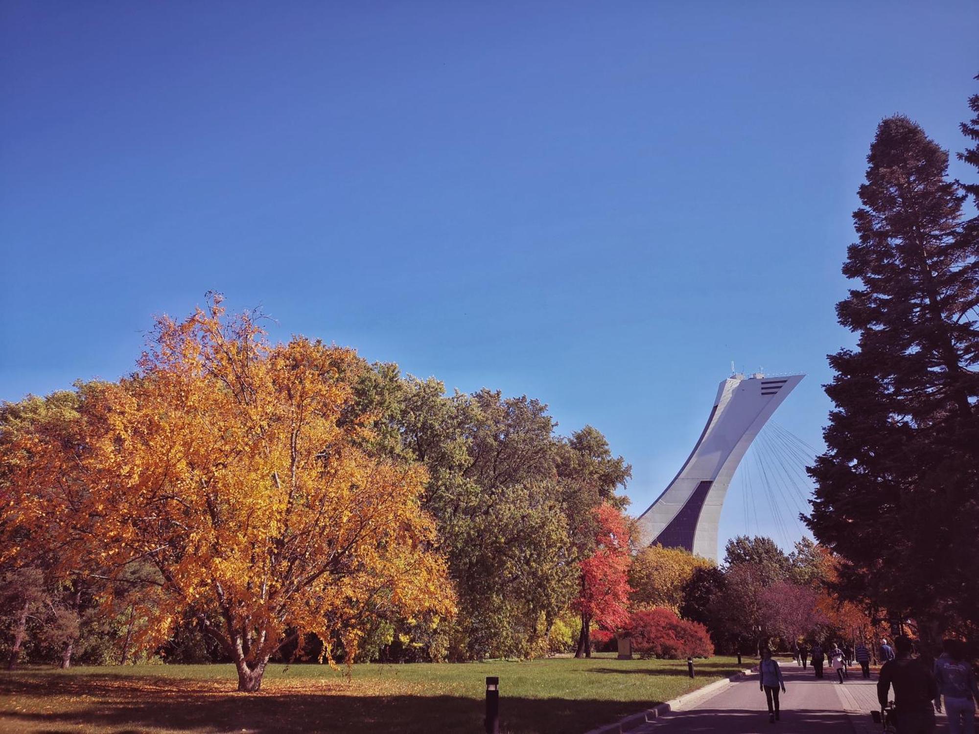 Homa Homestay Hotel By Olympic Stadium Montreal Auberge-Hostel Buitenkant foto